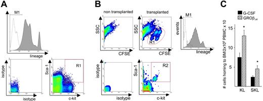 Figure 7. In vivo marrow homing of mobilized KL and SKL cells. (A) The top histogram shows lineage markers (PE) and isotype staining of donor PBMNCs before transplantation. The bottom 2 plots show Sca-1 (PE-Cy7) vs c-kit (APC; right) and their isotype staining (left) in lin− cells. M1: lin− cells; R1: Sca-1+, c-kit+ cells in lin− cells. (B) PBMCs mobilized by G-CSF or GROβΔ4 were stained with CFSE and 4 × 107 cells were transplanted into lethally irradiated syngeneic recipients. Recipient marrow cells were harvested 16 hours after transplantation. The top plots show CFSE staining in nontransplanted recipient (left) and transplanted recipient marrow (right) stained with lineage markers (PE), anti-Sca-1 (PE-Cy7), and anti-c-kit (APC) antibodies. The R1 gate represents CFSE+ cells. The middle histogram represents lineage markers (PE) and isotype staining of CFSE+ cells. The bottom plots shows Sca-1 (PE-Cy7) vs c-kit (APC) staining and its isotype staining in the CFSE+ lin− population. Gate R2 are Sca-1+ c-kit+ cells in CFSE+ lin− cells. (C) Total KL or SKL cells in 2 × 106 PBMCs homing to recipient marrow. Data are expressed as mean (± SEM) from 3 experiments using 30 donors and 3 recipients per group per experiment. *P < .05 compared with G-CSF.