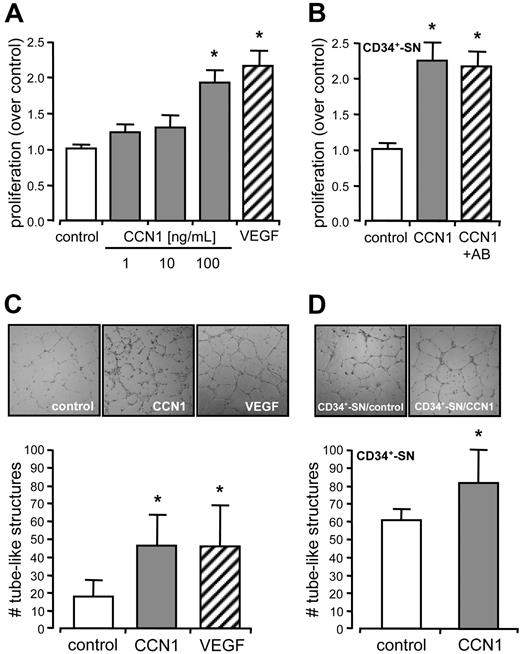 Figure 1. CCN1 stimulated endothelial proliferation and angiogenesis in vitro. (A) Proliferation of HUVECs was determined by BrdU incorporation in the absence (control) and in the presence of 1, 10, and 100 ng/mL CCN1 or 50 ng/mL VEGF for 16 hours. (B) Proliferation of HUVECs was determined by BrdU incorporation after 16 hours of incubation with supernatants (SN) from CD34+ cells unstimulated (control), stimulated with 100 ng/mL CCN1 for 24 hours or preabsorbed with a neutralizing antibody (AB) against CCN1. Unspecific control IgG did not show effects (data not shown). Increase in proliferation was significant different from control levels (*P < .05). (C) HUVECs were cultured in Matrigel for 24 hours in the absence (control) or in the presence of 100 ng/mL CCN1 or 50 ng/mL VEGF. (D) HUVECs were cultured in Matrigel for 24 hours with supernatants (SN) from CD34+ cells unstimulated (control) or stimulated with 100 ng/mL CCN1 for 24 hours. Increase in tube-like structures was significant different from control levels (*P < .05).