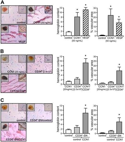 Figure 2. CCN1 stimulated angiogenesis in vivo. (A-C) Matrigel (0.5 mL) was injected into C57BL/6 mice subcutaneously. Angiogenesis after 6 days was measured by the hemoglobin content of the Matrigel plug and by ingrowing vascular structures confirmed by staining for VWF. Pictures represent H&E sections of Matrigel plugs, upper left insets show the total Matrigel plug and the upper right insets shows sections stained with antibodies against VWF (A) Matrigel in the absence (control) and in the presence of 50 ng/mL CCN1 or 50 ng/mL VEGF. Increase in angiogenesis was significant different from control levels (*P < .05). (B) Matrigel (0.5 mL) in the absence (control) and in the presence of 20 ng/mL CCN1 or 2.5 × 105 CD34+ cells. In addition, 2.5 × 105 CD34+ cells were injected into Matrigel plugs already containing 20 ng/mL CCN1. Increase in angiogenesis was significant different from CCN1 alone and CD34+ cells alone (*P < .05). (C) Matrigel in the absence (control) or in the presence of supernatants (SN) from CD34+ cells unstimulated (control) or stimulated with 100 ng/mL CCN1 for 24 hours. Increase in angiogenesis was significant different from control levels and supernatants from unstimulated CD34+ cells (*P < .05). Hemoglobin content is given in nanograms per milliliter per plug weight in milligrams. Vascular structures are expressed as percentage vascular area per field. Data represent the mean (± SEM) of at least 3 independent experiments.