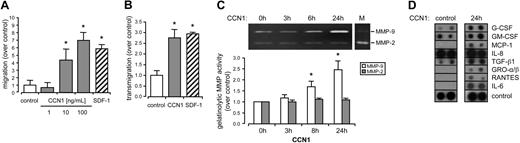 Figure 3. CCN1 induced migration, MMP, and cytokine release of CD34+ cells. (A) Migration of CD34+ cells was carried out in the absence (control) or in the presence of 1, 10 and 100 ng/mL CCN1 or 100 ng/mL SDF-1 for 5 hours. (B) Transendothelial migration of CD34+ cells was carried out in the absence (control) or in the presence of 100 ng/mL CCN1 or 100 ng/mL SDF-1 for 5 hours. Increase in migration was significant different from control levels (*P < .05). (C) Supernatants of CD34+ cells stimulated with 100 ng/mL CCN1 for the indicated time were subjected to gelatin zymography (M = MMP-2/-9 marker). Increase in gelatinolytic MMP activity was significant different from unstimulated control levels (*P < .05). (D) Supernatants of unstimulated (control) or with 100 ng/mL CCN1 for 24 hours stimulated CD34+ cells were subjected to a commercial protein array for selected cytokines and growth factors. Data present the mean (± SEM) of at least 3 independent experiments.