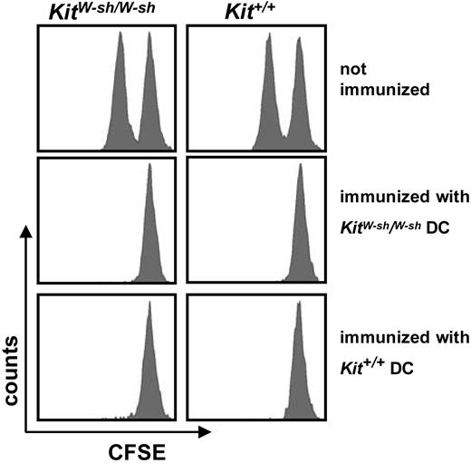 Figure 4. Immunization with peptide-loaded DCs elicits a potent CTL response in mast-cell–deficient mice. KitW-sh/KitW-sh or Kit+/Kit+ mice were immunized intraperitoneally with 1 × 106 DCs that had been activated with the TLR3 ligand poly(I:C) overnight, and peptide-loaded with the immunodominant H2-Kb peptide SIINFEKL. DCs were derived from either mast-cell–deficient or wild-type mice. At day 6, the blood was monitored for the presence of SIINFEKL-tetramer+ CD8+ T cells (data not shown). Seven days after immunization, cytolytic activity against SIINFEKL-loaded CFSElow or non–peptide-loaded CFSEhigh syngeneic splenocytes was evaluated after 20 hours; target cells had been injected intravenously at day 6. Negative controls show no lysis, while the other groups of mice lysed the target cells 94% to 98%. One representative graph for each group is shown; the experiment was performed 2 times independently, using 3 mice per group.