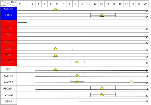 Figure 5. Summary of endothelial markers and the kinetics of their expression during the differentiation of hEBs investigated/monitored over 20 days. Lines with arrows indicate the beginning and period of expression. Yellow triangles indicate the peak in expression (the time area of the peak is indicated by a thin line). Gene colors reflect the level of expression in undifferentiated hESCs: blue, low; red, high; and white, none.