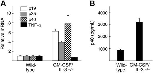 Figure 4. GM-CSF/IL-3–deficient macrophages produce increased inflammatory cytokines in response to LPS stimulation. (A). Real-time PCR analysis shows increased levels of p19, p35, and p40 in GM-CSF/IL-3–deficient macrophages compared with wild-type control mice. (B). GM-CSF/IL-3–deficient macrophages secrete elevated levels of p40 protein compared with wild-type macrophages. Shown are 3 animals per group. Similar results were observed in 3 independent experiments. Error bars refer to the standard deviations for the 3 samples in each group.