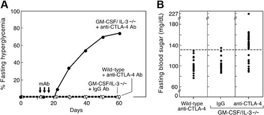 Figure 6. CTLA-4 antibody blockade precipitates diabetes in young GM-CSF/IL-3–deficient mice. (A) Time course of disease development. GM-CSF/IL-3–deficient (n = 30) or wild-type mice (n = 25) were injected intraperitoneally with 100 μg of anti-CTLA-4 antibody (clone 9H10) three times as indicated (arrows). A cohort of GM-CSF/IL-3–deficient mice (n = 15) was similarly treated with isotype-matched IgG control antibody. (B) Fasting blood sugar levels were determined 50 days after the initiation of antibody injections. Of 30 treated GM-CSF/IL-3–deficient mice, 22 developed fasting hyperglycemia (P < .001 versus all other groups).