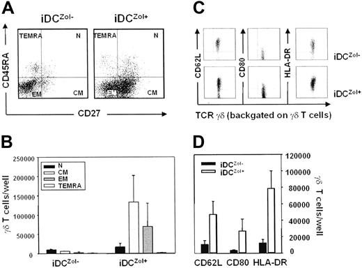 Figure 4. iDCZol+ induce the expansion of CM and EM γδ T cells with specific homing and costimulatory receptors. (A) Representative dot plots of γδ T-cell subset distribution after 7 days stimulation with iDCZol− and iDCZol+. Four subsets are identified according to the expression of cell surface CD45RA and CD27 antigens after backgating on γδ T cells: naive (N: CD45RA+, CD27+), central memory (CM: CD45RA−, CD27+), effector memory (EM: CD45RA−, CD27−), and terminally differentiated late effector cells (TEMRA: CD45RA+, CD27−). (B) Total counts of γδ T-cell subsets after 7 days stimulation with iDCZol− and iDCZol+. Bars represent the mean ± SEM of 5 experiments. Differences between CM and EM γδ T cells are statistically significant (CM γδ T cells: iDCZol− 3600 ± 1400 versus iDCZol+ 54 000 ± 20 000; P < .03; EM γδ T cells: iDCZol− 4700 ± 2100 versus iDCZol+ 28 000 ± 11 000; P < .04). (C) Expression of homing receptors (CD62L) and costimulatory molecules (HLA-DR, CD80) on the surface of γδ T cells after stimulation with iDCZol+. Results are from 1 of 5 experiments. (D) Total counts of viable CD62L+, CD80+, and HLA-DR+ γδ T cells after stimulation with iDCZol+. Bars represent the mean (± SEM) of 5 experiments. Total counts of viable CD62L+ γδ T cells per well are significantly increased (CD62L+ γδ T cells: iDCZol− 13 500 ± 5300 versus iDCZol+ 62 000 ± 9000; P < .005; HLA-DR+ γδ T cells: iDCZol− 12 000 ± 4000 versus iDCZol+ 78 400 ± 21 000; P > .05; CD80+ γδ T cells: iDCZol− 4000 ± 1200 versus iDCZol+ 36 000 ± 16 000; P > .05).