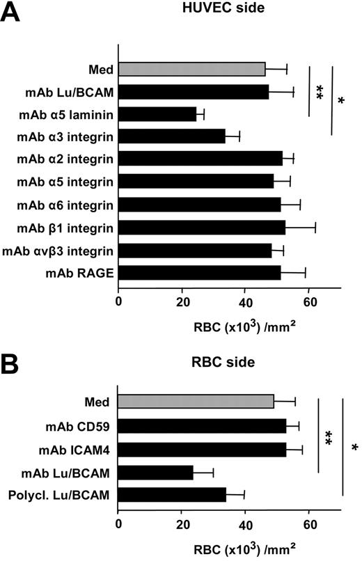 Figure 4. Effects of antibodies against different adhesion molecules on adhesion of PV RBCs to HUVECs under static conditions. (A) When incubated with HUVECs, neither anti-Lu/BCAM anti-α2, anti-α5, α6, β1, αvβ3 integrins, nor anti-RAGE antibodies modified adhesion of RBCs (n = 10). In contrast, anti-α5 chain laminin and to a lesser extent anti-α3 integrins significantly reduced adhesion (**P < .01; *P < .05; n = 10). (B) Monoclonal or polyclonal anti-Lu/BCAM incubated with RBCs inhibited the adhesion of HUVECs measured in static conditions (**P < .01; *:P < .05, respectively; n = 10), while anti-ICAM-4 or control mAb anti-CD59 had no significant effect on adhesion (n = 5). Bars denote SEM.