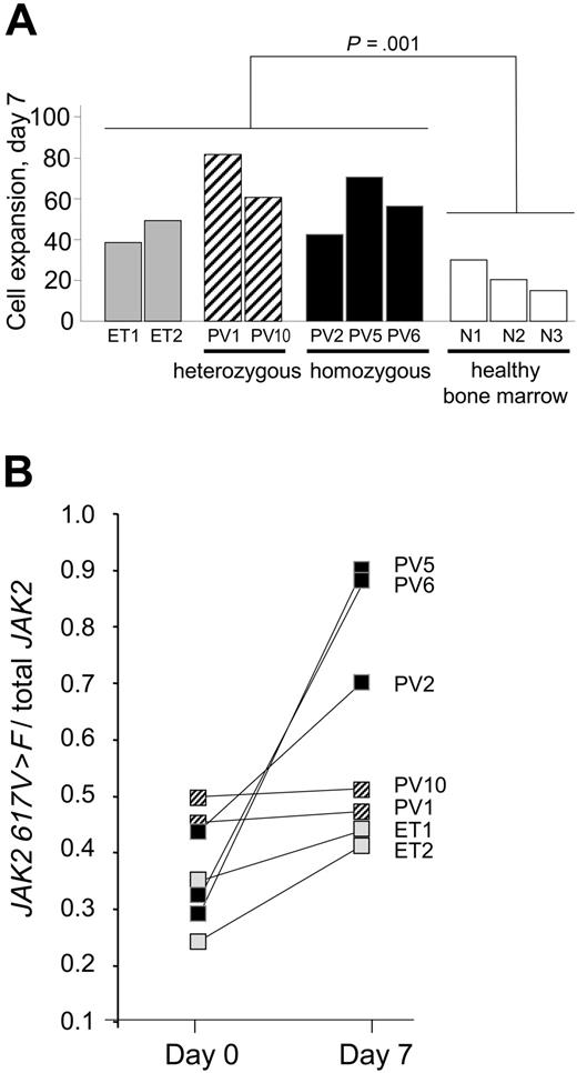 Figure 3. Increased in vitro amplification of mutated erythroid CD34+CD38+ progenitor cells from ET and PV patients. Bone marrow CD34+CD38+ cells from patients and healthy subjects were cultured in serum-free medium containing SCF, IL-3, dexamethasone, and 1 IU/mL Epo. On day 7, cells were enumerated and phenotyped by MGG and CD36/GPA staining, which demonstrated that more than 90% of the cells belonged to the erythroid lineage (data not shown), and the JAK2 617V>F/total JAK2 ratio was determined by real-time PCR. CD34+CD38+ cells from patients were seeded in both methylcellulose and liquid culture assays. Methylcellulose assay in the presence of 1 IU/mL Epo was performed to determine JAK2 617V>F/total JAK2 ratio in the input erythroid progenitor cells of the liquid culture at day 0. Erythroid colonies were randomly picked and genotyped on day 14. The JAK2 617V>F/total JAK2 ratio was retrospectively calculated using the formula (h + 2H) /(2h + 2H + 2w) where h, H, and w are the respective numbers of heterozygous, homozygous 617V>F, and wild-type colonies. (A) In vitro amplification of bone marrow CD34+CD38+ cells from 2 ET patients (▩, ET1 and ET2), 3 PV patients with a JAK2 617V>F homozygous profile (■, PV2, PV5, and PV6), 2 PV patients with a heterozygous profile (▨, PV1 and PV10), and 3 healthy subjects (□, N1, N2, N3) in serum-free medium containing SCF, IL-3, dexamethasone, and 1 IU/mL Epo. Note that, on day 7, cells from patients expanded significantly more than cells from healthy bone marrow (Student t test, P = .001). (B) JAK2 617V>F/total JAK2 ratio in the input erythroid progenitors as indicated (day 0) and in the erythroid progeny after 7 days of liquid culture culture (day 7). ■, PV patients with a JAK2 617V>F homozygous profile; ▨, PV patients with a heterozygous profile; ▩, ET patients.