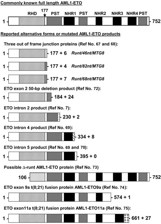 Figure 2. Other possible AML1-ETO fusion proteins from reported alternate transcripts. Shown are other known alternative AML1-ETO predicted gene products identified in cell lines and patient samples aligned to the full-length fusion protein. The vertical arrow points to the fusion junction between AML1 and ETO. RHD indicates runt homology domain; NHR1 to NLH4, Drosophila Nervy protein homology regions; and PST, proline-serine-threonine-rich regions. References identifying these alternative products are indicated.
