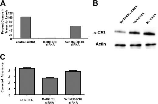 Figure 2. siRNA-mediated reduction in MOLM-13-expressed mutant c-CBL transcript and protein is associated with reduced cell proliferation. (A) MOLM-13 cells were transfected (Nucleofector; Amaxa, Gaithersburg, MD) with siRNAs targeting the MOLM-13 c-CBL mutant transcript fusing exon 7 and exon 9 (siMolD8CBL) or a scrambled sequence (scrMolD8CBL) or transfected with “control siRNA” that has been validated to not affect mRNA levels in mammalian cells (Ambion, Austin, TX) and incubated at 37°C for 24 hours. Relative real-time RT-PCR was carried out using total RNA and mutant-specific primers and primers common to mutant and wild-type c-CBL transcripts (sequences available upon written request). 18S rRNA was used to normalize for starting template amounts. Expression of c-CBL WT or mutant transcript in each transfected sample was measured. Data are depicted as percent change in the mutant transcript level relative to the level of mutant in the control siRNA-transfected cells. No difference in c-CBL WT mRNA levels was observed (not shown). siRNA sequences are available upon request. (B) Immunoblot analysis of c-CBL protein in MOLM-13 cells transfected with no siRNA or either Scr or MolD8CBL siRNAs. Detection of actin was used to control for well loading. (C) MTS cell proliferation assay was carried out at 48 hours after transfection of MOLM-13 cells without (no siRNA) or with 1 nmol MolD8CBL or Scr siRNA. Viability is indicated as the average absorbance at 492 nm of triplicate wells corrected for background and relative to the 0-hour time point.
