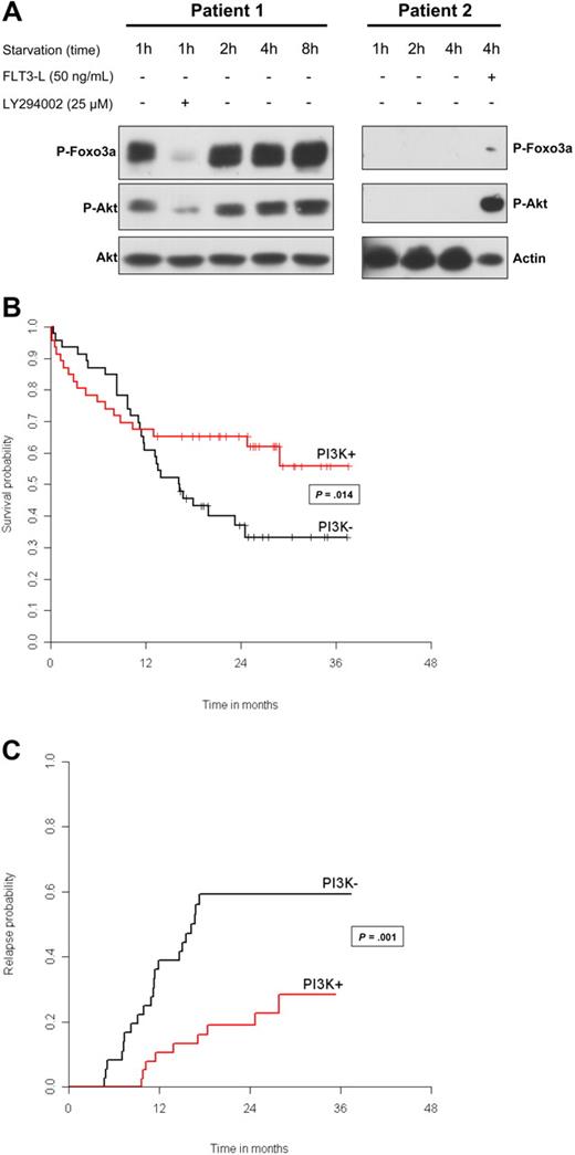 Figure 1. Patients with AML can be separated into 2 groups: with constitutive activation of PI3K (PI3K + group) and without PI3K activation (PI3K − group). (A) Blast cells from patients 1 and 2 were analyzed for PI3K/Akt activation at the indicated times, after starvation in serum- and cytokine-free medium, to determine constitutive and sustained activation of this signaling pathway. Proteins from 106 cells were separated by sodium dodecyl sulfate-polyacrylamide gel electrophoresis (SDS-PAGE) and analyzed by Western blot using antibodies directed against p-Akt (Ser 473) and pFOXO3A (Thr 32). To ensure equal loading, blots were reprobed with anti-actin or anti-Akt antibodies. LY294002 was used at 25 μM for 30 minutes to inhibit PI3K/Akt. The functionality of the PI3K/Akt pathway was tested in patient 2, after 15-minute stimulation with FLT3 ligand at 50 ng/mL. Vertical lines were drawn to indicate cuts made to put together nonadjacent regions from the same gel. (B) Kaplan-Meier curves for overall survival according to the PI3K status. Classical log-rank test was used to compare survival distribution between subgroups. We tested the proportional hazard hypothesis using a test proposed by Grambsch et al.14 To investigate for a mixed effect (early and late effect) of PI3K/Akt activation, we tested the null hypothesis of no short-term and no long-term effect, using the model proposed by Broët et al.15 This latter test allows for testing 3 null hypotheses: (1) no long-term and short-term effect; (2) no short-term effect; and (3) no long-term effect (whatever a short-term effect is). Here, the long-term effect represents the effect on the proportion of patients alive after 30 months. (C) Cumulative incidence curves for relapse according to the PI3K status. Relapse probabilities were obtained from crude cumulative incidence estimates, treating death before relapse and relapse as competing risk events. Crude cumulative incidence curves for relapse were compared between subgroups using the Gray test.16