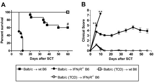 Figure 3. The protective effects of IFNγ are mediated through host tissue. Balb/c donors were mobilized with G-CSF and splenocytes were transplanted into irradiated (1000 rad) wt (n = 15) or IFNγR−/− (n = 20) B6 recipients. TCD splenocytes were transplanted into wt (n = 6) or IFNγR−/− recipients (n = 6) as non-GVHD controls. Data pooled from 2 identical experiments. (A) Survival determined by Kaplan-Meier analysis. #P < .001, IFNγR−/− versus wt recipients. (B) GVHD clinical scores were determined as a measure of GVHD severity in surviving animals. **P < .01, IFNγR−/− versus wt recipients. Data expressed as means ± SE.