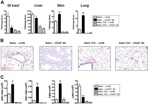 Figure 4. IFNγ prevents the development of idiopathic pneumonia syndrome. Tissue was collected at day 9 after transplantation from recipients of G-CSF–mobilized allogeneic or TCD grafts. (A) Semiquantitative histopathology was scored as described in “Materials and methods.” GI tract, *P < .03 (n = 4-5 per group); liver (n = 4-5 per group); skin **P < .01 (n = 11 in T-cell-replete and n = 4 in TCD groups); lung, **P < .01 (n = 6 per group). (B) Representative example of histological pulmonary tissue from wt and IFNγR−/− recipients of T-cell-replete and TCD grafts 9 days after transplantation (100 ×). (C) Donor (H-2Dd+) cellular infiltrate in pulmonary tissue was determined by flow cytometry. Significant increases in donor CD4+ T cells (*P < .02), CD8+ T cells, and F480+ macrophages (**P < .01) were seen in the lungs of IFNγR−/− recipients of T-cell-replete allogeneic grafts compared with wt recipients. Ly6G+ neutrophils were significantly decreased in IFNγR−/− recipients (**P < .01). Data represents mean plus or minus SE cells per right upper lobe of lung.