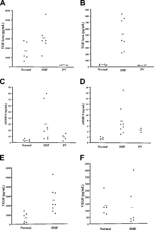 Figure 6. TGF-β, active MMP-9, and VEGF levels in the CM from normal and IMF cell cultures. The levels of TGF-β, active MMP-9, and VEGF were quantified in the CM after 15 days of primary cultures and 3 days of secondary cultures by ELISA. Each point represents the concentration of a growth factor or protease in the CM. The bars represent the mean values for each group. (A,B) represent the levels of TGF-β in the CM from normal, IMF, and PV samples at the 2 time points mentioned above. Significantly greater levels of TGF-β were found in the IMF CM from secondary cultures (B) (P < .01). (C,D) represent the levels of active MMP-9 in the CM from normal, IMF, and PV cultures in primary and secondary cultures. Significantly greater levels of active MMP-9 were found in the IMF CM both after 15 days of primary cultures and 3 days of secondary cultures compared with normal samples (P < .05). (E-F) VEGF levels were also measured in the CM from these cultures. In contrast to TGF-β or active MMP-9, the levels of VEGF were not found to be elevated in the IMF CM after 3 days of secondary cultures (F), however, greater levels of VEGF were found in the IMF CM from primary cultures (E) (P < .05), probably related to the greater numbers of MKs found in these cultures.
