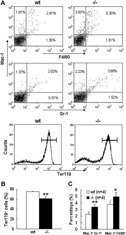 Figure 3. Flow cytometric analysis of E13.5 wt and Palld−/− fetal liver cells. (A) Flow cytometric profiles of wt and Palld−/− E13.5 fetal liver cells labeled with Mac-1/Gr-1 (granulocyte), Mac-1/F4/80 (myelomonocyte), or Ter119 (erythrocyte). Values shown are percentages of each cell population among total cells. Horizontal lines in the bottom panels represent Ter119+ cells. (B) Quantification of Ter119+ cells in wt and Palld−/− fetal livers. (C) Quantification of Mac-1+ Gr-1+ and Mac-1+F4/80+ cells in wt and Palld−/− fetal livers. Error bar represents plus and minus a SD; **P < .01; *P < .05.