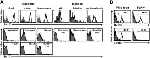 Figure 2. Specific reactivity of Ba103 with basophils and a subset of mast cells. (A) Reactivity of Ba103 with various cells isolated from hematopoietic and lymphoid organs and tissues of BALB/c mice was analyzed with flow cytometry using lineage-specific markers. Data are shown for basophils (FcϵRIα+CD49b+) in peripheral blood, spleen, and bone marrow; for mast cells (FcϵRIα+c-kit+) in skin, intestine, and peritoneal cavity; for neutrophils (Gr-1high), eosinophils (CCR3+), platelets (forward scatterlowCD49b+), and red blood cells (TER-119+) in peripheral blood; for peritoneal macrophages (CD11bbright); and for dendritic cells (CD11c+), T cells (CD3+), B cells (CD19+), and NK/NKT cells (FcϵRIα−CD49b+) in spleen. Shaded histograms show the staining with isotype-matched control. Similar staining profiles were obtained when cells isolated from C57BL/6 mice were analyzed with Ba103 (data not shown). (B) Bone marrow cells from wild-type and FcRγ chain−/− C57BL/6 mice were stained for CD49b together with Ba103 or FcϵRIα. The data show the staining profiles of CD49b+ bone marrow cells for the surface expression of Ba103 (upper panels) and FcϵRIα (lower panels). Shaded histograms show the staining with isotype-matched control. The numeral in each panel shows the percentage of Ba103+ cells.
