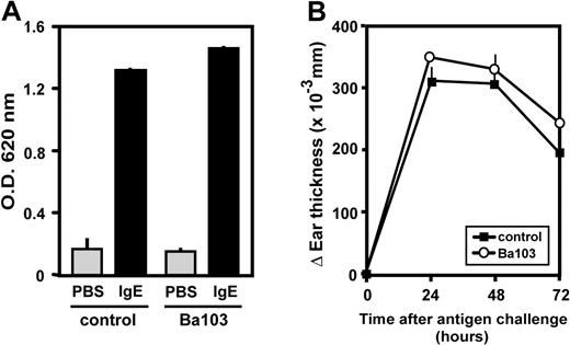Figure 5. No detectable effect of Ba103 treatment on type I or IV hypersensitivity reaction. (A) BALB/c mice were treated with an intravenous injection of 30 μg Ba103 or control IgG. A day later, the mice were passively sensitized with an intradermal injection of TNP-specific IgE (■) or PBS (▩) into the ear, followed by the intravenous injection of TNP-OVA plus Evans blue dye the next day. The extravasated dyes were extracted from the ear skin 30 minutes after challenge, and the amount of dye was measured by spectrophotometry. (B) BALB/c mice were epicutaneously sensitized with hapten DNFB on the abdomen; 5 days later, they were challenged epicutaneously with DNFB on the left ear and with vehicle alone on the right ear. The mice were treated with 2 intravenous injections of 30 μg Ba103 each, the first 1 day before the sensitization and the second 1 day before the antigen challenge (○). As a control, the other group of mice was treated with the same amount of control IgG in place of Ba103 (■). The thicknesses of the left and right ears were measured at the indicated time points after the antigen challenge. The values of ΔEar thickness, the differences in ear thickness (left-right) at each time point, are plotted. Data are expressed as the mean (± SEM) of 3 mice in each group and are representative of 3 repeated experiments.