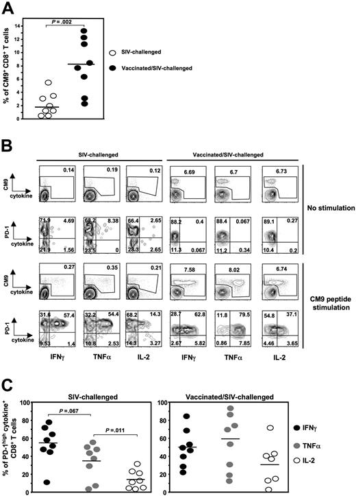Figure 4. PD-1highCM9+CD8+ T cells are capable of producing multiple cytokines. (A) Dot-plot graph showing the percentage of CM9+CD8+ T cells in PBMCs from SIV-challenged (n = 8) and vaccinated/SIV-challenged (n = 8) animals. (B) Representative flow cytometry showing the production of IFNγ, TNFα, and IL-2 by CM9+CD8+ T cells after 6-hour stimulation with CM9 peptide. Single-live lymphocytes were gated first for CD8- and then for CM9-specific CD8+ T cells by CM9 tetramer. The production of all 3 cytokines was simultaneously measured in CM9+CD8+ T cells and in relation to their PD-1 expression. Cells from one SIV-challenged (left panel) and one vaccinated/SIV-challenged (right panel) animal for both no stimulation and CM9 stimulation conditions are shown. (C) Compiled data showing the percentage of PD-1highCM9+CD8+ T cells that is positive for each one cytokine tested in SIV-challenged (left panel, n = 8) and vaccinated/SIV-challenged (right panel, n = 8) animals. Horizontal lines depict mean values. The P values were calculated using Student t test.