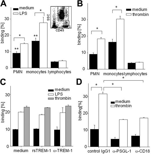 Figure 5. Conjugate formation between platelets and PMNs or monocytes is enhanced by LPS or thrombin and dependent on CD18 and PSGL-1 but not on TREM-1. (A,B) Citrated blood samples were incubated in the absence or presence of LPS (1 μg/mL) (A) or thrombin (5 U/mL) (B) for 10 minutes. Binding of platelets on neutrophils, monocytes, or lymphocytes was assessed by staining against platelet marker CD41a by FACS. Cells were characterized by sideward scatter and CD45 staining. Shown is the percentage of platelet binding on the indicated cell population. (C,D) Platelets were purified and stained with calcein, then mixed with PMNs (ratio PLT/PMN, 30:1) measured by FACS. Binding of platelets to PMNs was assessed by percentage of calcein-positive neutrophils. (C) LPS (□) and thrombin (▒) enhance platelet/PMN adhesion; neither rsTREM-1 nor α–TREM-1 mAb interfered in this adhesion. (D) Antibodies against CD18 or PSGL-1 decrease binding between the 2 cell types. Data represent the mean of triplicates plus or minus SD of at least 3 independent experiments. Asterisks indicate statistically significant differences calculated by Student t test (P < .01). (A) Single asterisks indicate statistically significant differences between stimulated and unstimulated cells. Double asterisks show statistically significant different binding of platelets on cell populations in comparison with binding of platelets on lymphocytes.