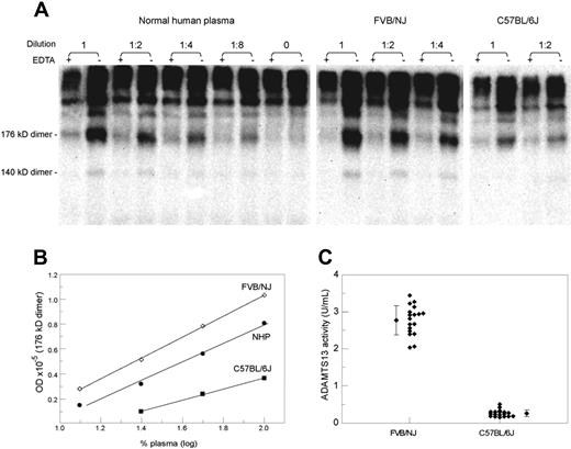Figure 1. Comparison of ADAMTS13 activity in 2 mouse strains. (A) SDS-PAGE and immunoblotting depicting VWF proteolytic fragments (176-kDa and 140-kDa fragment dimmers) generated from cleavage of exogenous VWF multimers by ADAMTS13 in a normal human plasma, a FVB/NJ plasma, and a C57BL/6J plasma. VWF multimers were incubated with each plasma sample at the indicated dilution in the presence or absence of EDTA. The increased optic density in the absence of EDTA represents the product of proteolysis. (B) A plotting of the level of the 176-kDa fragment dimer against the plasma concentration. At each dilution, the FVB/NJ plasma was more active than the normal human plasma or the C57BL/6J plasma in generating the proteolytic fragment. (C) A dot plot of the ADAMTS13 activity levels in 18 FVB/NJ and 18 C57BL/6J mice. The mean and standard deviation are also shown for each group (P < .001).
