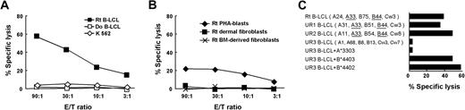 Figure 1. Specificity of the HLA-B44–restricted CTL clone 2A12. The cytolytic activity of CTL-2A12 was evaluated in a standard 4-hour 51Cr release assay at the indicated E/T ratios. (A) CTL-2A12 recognition of target cells derived from recipient (Rt) but not donor (Do) B-LCLs. NK-sensitive K562 cells were used to determine nonspecific lysis. (B) CTL-2A12 recognition of Rt PHA-stimulated T cells (PHA blasts) but not of Rt dermal fibroblasts and bone marrow (BM)-derived fibroblasts pretreated with 500 U/mL IFN-γ and 10 ng/mL TNF-α for 48 hours before 51Cr labeling. (C) CTL-2A12 recognition of an HLA-B*4403- and -B*4402-restricted mHA epitope. The following target cells were tested: Rt B-LCL, B-LCLs of 2 unrelated individuals (UR1 and UR2) sharing an HLA-A33, B44 haplotype with the recipient, and B-LCLs of an HLA class I-mismatched individual (UR3) that were transduced with either HLA-A*3303, B*4403, or B*4402 (E/T ratio, 30:1).