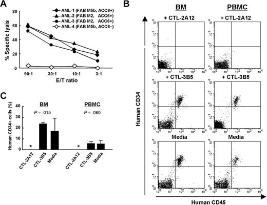 Figure 6. Inhibition of human AML stem cell engraftment in severely immunodeficient NOG mice by CTL-2A12. (A) Specific lysis by CTL-2A12 of primary leukemia cells. A standard 4-hour 51Cr release assay was conducted at the indicated E/T ratios. The CD34+ fraction of 3 primary AML cells positive for HLA-B*4403 and the ACC-6+ allele by genotyping (AML-1, -2 and -3; the expression level of HMSD was 47%, 28%, and 24% of that in the recipient B-LCL, respectively) and 1 HLA-B*4403+, ACC-6 allele-negative (AML-4) were tested. FAB denotes French-American-British classification. (B) Representative flow cytometric profiles of peripheral blood and BM cells from AML-inoculated NOG mice for the expression of human CD45 and CD34. Peripheral blood and BM cells were obtained 5 weeks after inoculation from mice receiving 7.0 × 106 AML-2 CD34+ cells (negative for ACC-2D mHA) that had been incubated with either CTL-2A12 (top), control CTL-3B5 (middle; HLA-B*4403-restricted, ACC-2D mHA-specific CTL), or culture medium alone (bottom) at a T-cell/AML cell ratio of 5:1. (C) Summary of results from engraftment experiments. Mean (± SD) percentage of CD45 and CD34 double-positive cells of 3 mice in each group at 5 weeks after inoculation and the P values examined by 1-way ANOVA test are shown. Asterisk indicates that CD45 and CD34 double-positive cells were not detectable in NOG mice inoculated with AML-2 cells preincubated with CTL-2A12.