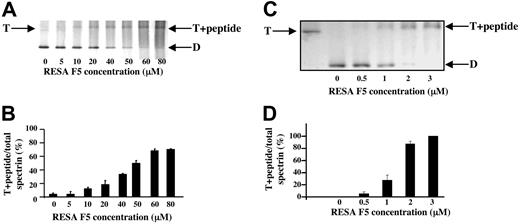 Figure 3. Stabilization of spectrin tetramer by RESA F5 fragment. Panels A and B show the composition of spectrin extracted at 37°C from erythrocyte membranes previously resealed without or with the indicated concentrations of RESA F5. Spectrin components were separated by nondenaturing gel electrophoresis in the cold. The positions of migration of dimer (D), tetramer (T), and the tetramer-RESA-F5 complex (T + peptide) are indicated. Panels C and D show suppression of conversion of spectrin tetramer to dimer by RESA F5 in solution. Spectrin tetramer in the low-ionic-strength extraction medium was incubated with the RESA fragment at the indicated concentrations at 37°C for 1 hour, followed by gel electrophoresis, as before. The best-fit of binding data in situ at 37°C shown in panel B corresponds to an association constant of approximately 2 × 104 M−1, while that of binding data shown in panel D results in an association constant of approximately 1 × 106 M−1. (B,D) Results represent the mean value of triplicate samples.