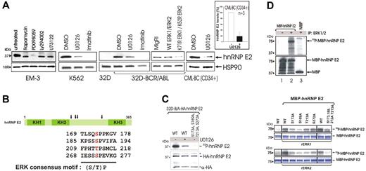 Figure 2. The BCR/ABL-activated MAPKERK1/2 is responsible for enhanced hnRNP-E2 expression. (A) Effect of different chemical kinase inhibitors on hnRNP-E2 protein levels in Ph1(+) EM-3, K562, 32D-BCR/ABL, and primary CML-BCCD34+ progenitors. Graph shows mean plus and minus standard deviation (SD) of hnRNP-E2 levels after normalization with HSP90 in untreated and U0126-treated primary CML-BCCD34+ progenitors (n = 3). Effect of wild-type and dominant-negative K71R ERK1 and K52R ERK2 expression on hnRNP-E2 levels in 32D-BCR/ABL cells. (B) Schematic diagram shows ERK phosphorylation sites (S/T-P) in hnRNP-E2. (C) In vivo MAPK-dependent phosphorylation of hnRNP-E2. Autoradiography (top) shows phosphorylated HA-hnRNP-E2 in 32P-labeled 32D-BCR/ABL cells ectopically expressing HA-hnRNP-E2 (untreated and U0126-treated) and HA-hnRNP-E2 S173A, S189A, T213A, S272A. Anti-HA Western blot (bottom) shows expression of HA-hnRNP-E2 and HA-hnRNP-E2 S173A, S189A, T213A, S272A. Asterisks indicate IgG chains. (D) In vitro MAPK-dependent phosphorylation of hnRNP-E2. (top panel). Bacterially expressed and purified wild-type MBP-hnRNP-E2 was subjected to an in vitro kinase assay and Western blot analysis. Autoradiography (top) shows phosphorylated MBP-hnRNP-E2 by the anti-ERK1/2 immunoprecipitates. Western blot (bottom) shows expression of MBP-hnRNP-E2 and MBP. Effect of serine/threonine to alanine mutations on hnRNP-E2 phosphorylation (bottom panel). Wild-type MBP-hnRNP-E2 and its serine/threonine to alanine mutants were subjected to a kinase assay with recombinant ERK1 (rERK1) and ERK2 (rERK2), respectively. Autoradiography show phosphorylated MBP-hnRNP-E2 by ERK1 and ERK2, respectively. Coomassie blue–stained gels were used as controls for equal loading.