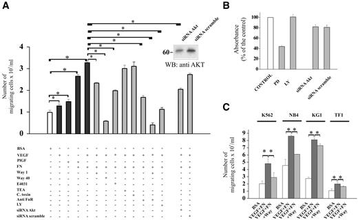 Figure 4. Cell migration in response to FLT-1and integrin stimulation of human AML cell lines: role of hERG1 channels. (A) Analysis of cell migration in FLG 29.1 cells. Cells were allowed to migrate through BSA-coated filters (□) and on FN-coated filters in the presence of VEGF165 (100 ng/mL), or PlGF (50 ng/mL). Cell migration was carried out at 37°C and 5% CO2 for 18 hours as detailed in “Patients, materials, and methods; Migration assay.” Values are reported as number of migrated cells/mL and represent means of 4 experiments, each performed in triplicate. Results shown are means (± SEM). The following inhibitors were used, at the final concentrations reported in parentheses: the hERG1 specific blocker Way (1 and 40 μM); the specific hERG1 blocker E4031 (1μM); tetra-ethyl-ammonium (used at 5 mM, a concentration known to block voltage-dependent K+ channels other than hERG1); C. toxin, a blocker of Ca2+-dependent K+ channels (1 μM); the anti FN-R antibody, known to block all the β1 containing integrins20 (1:50); the MAPK inhibitor LY (10 μM); the PI3K inhibitor PD (30 μM). When needed, cells were pretreated with ion channel inhibitors at 37°C for 15 minutes as reported in “Patients, materials, and methods; Treatment with channels inhibitors.” FLG 29.1 were also treated for 48 hours with Akt-siRNA and migration was assessed for a further 18 hours. Control scrambled siRNAs were used as reported in “Patients, materials and methods; Silencing of Akt by small interfering RNAs.” *Statistically significant differences between samples are indicated by the horizontal bars and are P < .05, Student t test. Inset, WB analysis of Akt expression levels in cells treated with Akt-siRNA or scrambled-siRNA. (B) Effects of various treatments on FLG 29.1 cell proliferation/survival. Cells, treated as in panel A, were incubated in 96-well cell culture plates for 18 hours. At the end of incubation, the WST reagent was added, and absorbance was measured. Data are reported as percentage of the control and represent mean (± SEM) of 3 different experiments, each performed in triplicate. (C) Effect of VEGF and integrin stimulation, as well as of hERG1 blockers on migration of various AML cell lines. Cell migration and treatments were performed as in panel A. Results shown are means (± SEM). *Statistically significant differences between samples are indicated by the horizontal bars and are P < .05, Student t test. The correlation between the amount of leukemia cells stimulated to migrate by VEGF plus FN (normalized on the amount of migrated cells in control conditions) and the amount of FLT-1/hERG1/β1 complex in cells stimulated by VEGF plus FN (normalized on the amount of the complex in cells treated with BSA, taken from Figure 2C) was determined by regression analysis (P = .02).