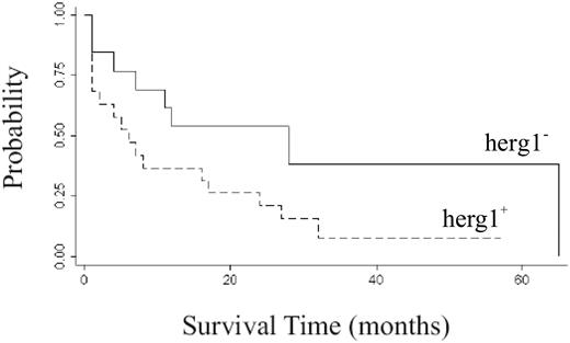 Figure 9. Survival time and herg1 expression in AML patients. Survival from diagnosis was analyzed in 42 patients affected by AML and treated with daunorubicin-aracytine standard regimen. Data are presented in relation to the presence or absence of herg1 (number of herg1+ patients was 26; number of herg1− patients was 16). Survival curves have been computed using the Kaplan-Meier method and statistical comparisons between curves were based on log-rank tests (P = .026).