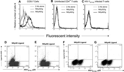 Figure 1. Expression of NKp30 or NKp46 ligands on HIV-infected primary T cells. (A) The COS-7 cell line was stained with either soluble NKp30-Fc or NKp46-Fc fusion proteins followed with goat antihuman secondary reagent or the secondary reagent alone. (B) Uninfected and (C) HIV-1SF162–infected CD4+ T cells were stained with soluble NCR as in panel A, fixed and permeabilized, and stained with mouse anti-HIV-1 p24 monoclonal antibodies and rabbit antimouse secondary reagent. Histograms were gated on 104 viable (panels A,B) or 104 HIV-1 p24 Ag+ cells (panel C). Dot plots shown are of 3 × 104 cells in the viable gate from cultures of T-cell blasts infected with HIV-1SF162 (panels D,E) and HIV-1SF128A (panels F,G), and the numbers represent the percentage of viable cells within each quadrant. Data are representative of 3 separate studies.