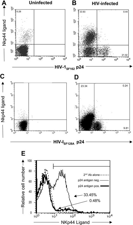 Figure 2. Expression of NKp44 ligands on HIV-infected primary T cells. (A,C) uninfected and (B,D) HIV-1SF162– or HIV-1SF128A–infected CD4+ T cells stained with soluble NKp44/IgG Fc fusion protein and goat antihuman secondary reagent followed by intracellular staining with mouse anti-HIV-1 p24 antibodies. Dot plots shown are of 3 × 104 cells in the viable gate from cultures of T-cell blasts infected with HIV, and the numbers represent the percentage of viable cells within each quadrant. (E) The percentage of HIV-1 p24 Ag+ (–) and p24 Ag− (———) infected cells that are NKp44 ligand-positive. Data are representative of 3 separate studies.