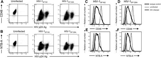 Figure 7. HIV-1 down-modulates NTB-A and CD48 on infected cells. Primary T-cell blasts either were left uninfected or were infected with 103 TCID50 HIV-1SF162 or HIV-1SF128A. Cells were surface-stained for (A,C,D) CD48, or (B,E,F) NTB-A followed by intracellular staining for the HIV-1 p24 capsid protein using the human 71-31 monoclonal antibody and goat antihuman secondary antibody. Data are representative of at least 3 different experiments with different donors. In panels A and B, the numbers in the corners of the plot quadrants are the percentage of viable cells that express the specific markers. Histogram representation of all viable cells is shown in panels C through F (■ represents isotype control staining, ——— represents surface staining of viable uninfected cells, and ▔▔▔ represents surface staining of viable HIV-infected cells).