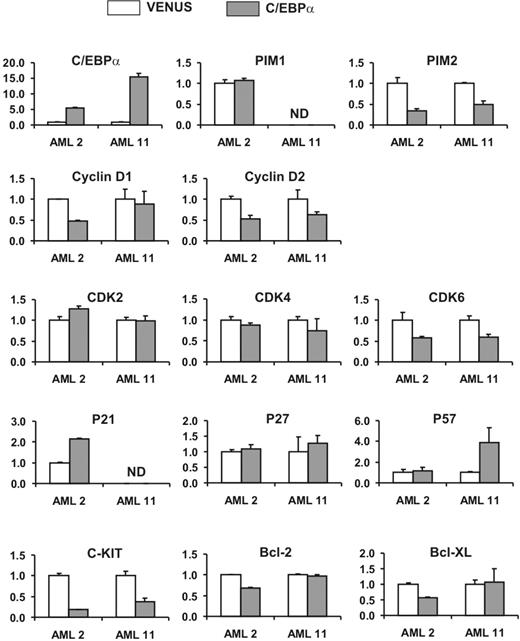 Figure 5. Q-PCR analysis on transduced AML CD34+ cells. CD34+ cells from AML nos. 2 and 11 were transduced with Venus control vectors or C/EBPα and plated on MS5 for 1 week in the presence of 500 nM 4-OHT, after which GFP+ cells were sorted by MoFlo and RNA was extracted for Q-PCRs as indicated. GAPDH expression was used as internal control, and the expression levels were normalized to 1 in the Venus control groups. Error bars denote the standard deviations, belonging to the normalized means as they are shown. ND indicates not detectable, expression was below detection threshold.