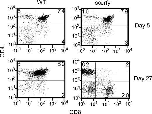 Figure 2. Thymocytes from 5- and 27-day-old scurfy and wild-type mice were analyzed for CD4 and CD8 expression. Numbers in each quadrant indicate the percentage of cells in each region against the total.