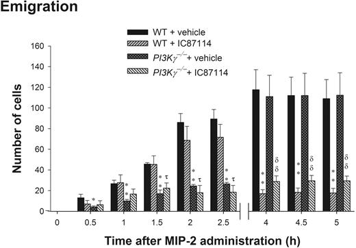 Figure 5. The role of PI3Kδ in leukocyte emigration in cremasteric postcapillary venules in response to 3 separate time points (0 to 90 minutes, 2 to 2.5 hours, and 4 to 5 hours) of MIP-2 local administration in WT and PI3Kγ-/- mice. Mice were orally administered with 25 mg/kg PI3Kδ inhibitor IC87114 or same amount of vehicle PEG-400 prior to MIP-2 superfusion on the cremaster muscle preparation for 0 to 1.5 hours or prior to MIP-2 intrascrotal injection (1 μg in 200 μL saline) and cremaster muscle preparation at 2 to 2.5 hours or 4 to 5 hours. Leukocyte emigration was determined at the indicated time points after MIP-2 treatment in WT, PI3Kγ-/-, WT + IC87114, or PI3Kγ-/- + IC87114 mice. Each group contains at least 3 mice. *P < .05 and **P < .01, respectively, as compared with each vehicle-treated group of WT mice. τ, P < .05 as compared with IC87114-treated WT mice. δδ, P < .01 as compared with vehicle-treated PI3Kγ-/- mice. Error bars represent means plus or minus SEM.