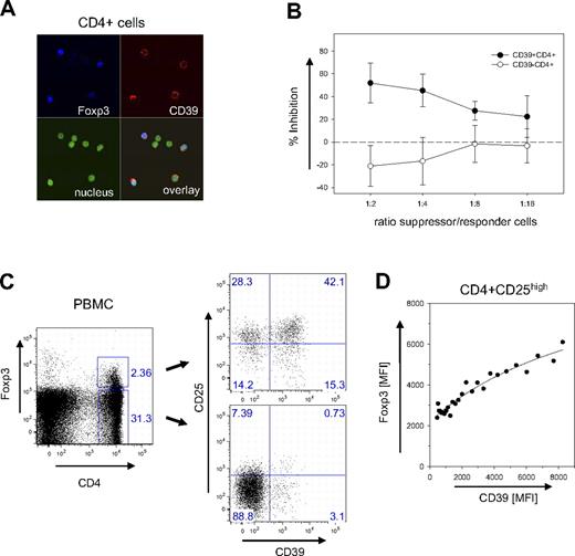 Figure 5. Expression of CD39 on human Treg cells. (A) Confocal image of CD39+Foxp3+cells. CD4+ cells of human PBMCs were stained for CD39 and Foxp3 and analyzed by laser confocal microscopy (see “Patients, materials and methods; Confocal microscopy” for image acquisition details). Nuclear staining was carried out with DAPI. (B) Suppressive capacity of CD4+CD39+ cells. The inhibitory activity of FACS-sorted populations of CD4+CD39+ (●) and CD4+CD39− (○) was determined with CD4+CD25− responder cells in a 3H-thymidine incorporation assay. Inhibition of proliferation is expressed as a percentage; the ratio between suppressor and responder cells is indicated. Error bars indicate standard deviation of data points. (C) CD39+ and CD39− subpopulations within the Foxp3+ subset. PBMCs were gated as indicated into CD4+Foxp3+ and CD4+Foxp3− subsets (left panel). The CD39 expression of the 2 subsets is shown in a double-staining with α-CD25 (right panel). (D) Correlation between CD39 and Foxp3 expression. The mean fluorescence intensities of CD39 and Foxp3 are shown for the subset of CD4+CD25high cells. MFI values of data points were determined from the FACS data of a single donor by scanning the CD39 expression with a narrow gate for Foxp3 using the FlowJo analysis software. Line represents a hyperbola regression calculated by the Sigmaplot software package.
