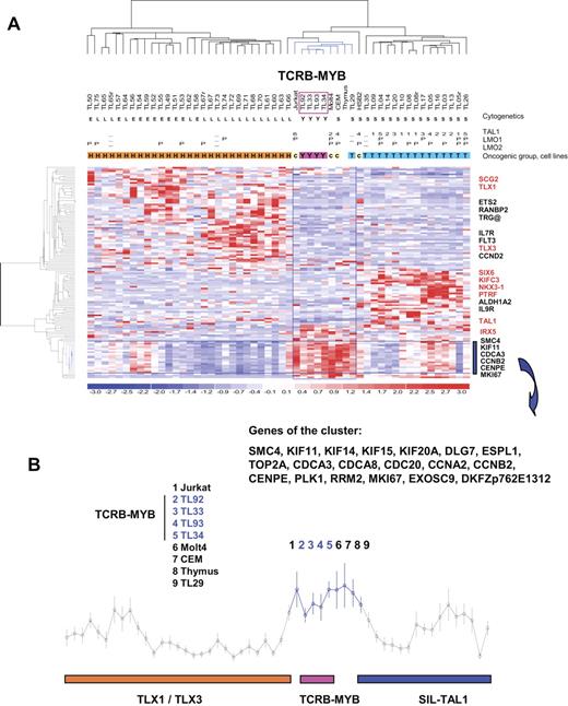 Figure 5. Profiling of the TCRB-MYB cases by large-scale gene expression analysis. (A) Heat map representation of the hierarchical clustering of genes and samples using expression values for genes expressed differentially between the 4 TCRB-MYB cases and the SIL-TAL1, TLX1, and TLX3 cases (gene list in Table S1). One thymus sample and 4 T-cell lines are also included in the analysis. Cytogenetic/genomic annotations are as follows: Y indicates TCRB-MYB; L, TLX3; E, TLX1; and S, SIL-TAL1. Oncogenic groups: Y indicates TCRB-MYB; H, HOX-related; T, TAL-related; and c, cell lines.38 Oncogene expression levels are shown as follows: TAL1 positive indicates range from 1 to 6; −, not analyzed; others are negative. LMO1 and LMO2: P indicates positive; −, not analyzed; others are negative. Data were normalized as described38 and redundant probe sets were masked. The 4 TCRB-MYB cases (boxed in pink) are included in a cluster of cases indicated in blue, together with 3 cell lines (CCRF-CEM, Jurkat, and HSB2), the normal thymus sample, and a SIL-TAL case (TL29). Representative genes from the 3 major clusters are shown, and ectopic genes are indicated in red. (B) Average expression (± SD) of the genes that characterize the TCRB-MYB and cell line cluster. This cluster is specifically enriched in genes linked to cell cycle, cell proliferation, and mitosis, according to Gene Ontology (GO) terms (Table S2).
