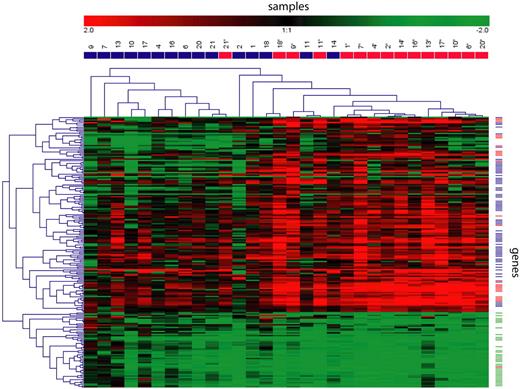 Figure 1. Hierarchic clustering based on transcripts modified by low-dose radiation. We detected 201 transcripts whose expression was significantly modified by low-dose radiation. Hierarchic clustering based on their expression is shown, with samples taken before radiation in blue and samples taken after radiation in red, in the columns. For each gene, the relative expression compared with the reference RNA is represented by a color scale. Based on their regulation and functions, genes (rows) were classified in 3 biologically meaningful profiles: p53 targets in red, immune response in blue, and cell cycle in green.