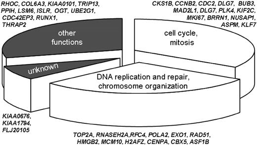 Figure 6. Biologic processes influenced by the 40 gene products associated with MRD on day 19 and with leukemic relapse