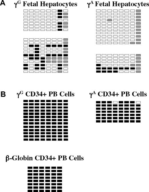 Figure 4. Methylation of γ- and β-globin promoter sequences in fetal hepatocytes and adult CD34+ peripheral blood hematopoietic cells. (A) Methylation of the 2 γ-globin promoters and the β-globin promoter in purified fetal hepatocytes. Data from 2 independent samples are shown. (B) Methylation of the γ- and β-globin promoters in CD34+ peripheral blood cells. □ indicates unmethylated; ■, methylated; and ▩, indeterminate sequencing.