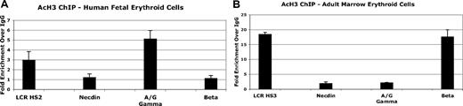 Figure 5. Histone H3 acetylation at the γ- and β-globin promoters in purified fetal and adult erythroid cells determined by ChIP assay. (A) Relative promoter H3 acetylation in nucleated fetal erythroid cells. (B) Relative promoter H3 acetylation in nucleated adult erythroid cells. Results are expressed as fold enrichment using anti-AcH3 antibody compared with nonspecific IgG. Error bars indicate plus or minus 1 standard deviation. β-Globin LCR HS2 and HS3 core regions serve as positive controls. The necdin gene promoter, which is not expressed in erythroid cells, serves a negative control.