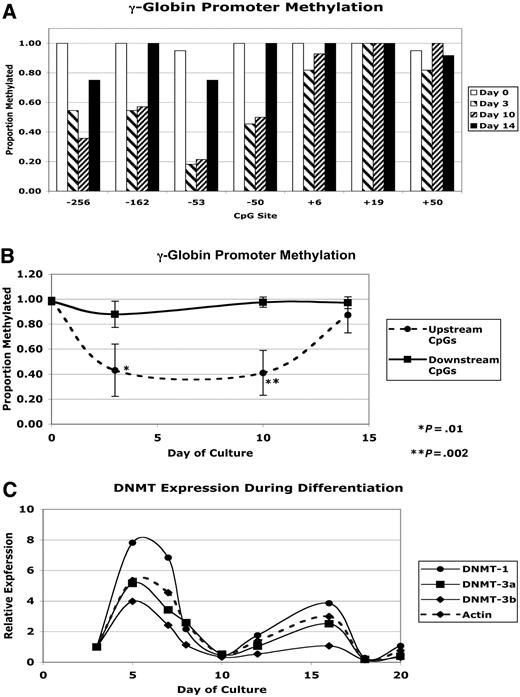Figure 7. Changing patterns of γ-globin promoter methylation during in vitro differentiation. (A) Percentage methylation of specific CpGs in the γ-globin promoters during in vitro differentiation. (B) Comparison of percentage methylation of the 3 CpGs upstream of the transcriptional start site to that of the 3 CpGs downstream of the start site. (C) Relative mRNA levels of DNMT genes during in vitro differentiation. Error bars indicate plus or minus 1 standard deviation.