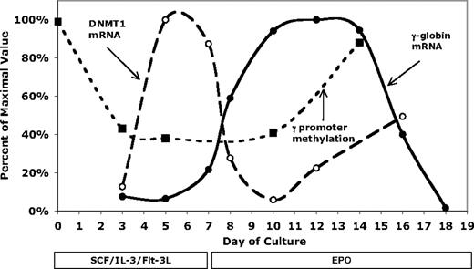 Figure 8. Comparison of γ-globin mRNA, DNMT1 mRNA, and upstream γ-globin promoter methylation levels during in vitro differentiation. The maximum levels of γ-globin and DNMT1 mRNA were set to 100%. DNA methylation is the percentage methylation of the upstream (−162, −53, and −50) CpGs and is not normalized.