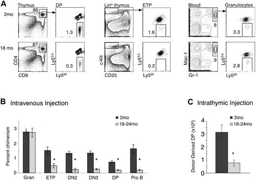 Figure 3. Reduced T potential of aged BM in short-term assays. (A) Ly5B6 donor BM from 2 month-old and 18- to 24-month-old mice was depleted of CD4+, CD8+, and B220+ cells, and 20 × 106 of the remaining cells were injected intravenously into nonirradiated mice. Recipients were analyzed at 3 weeks for chimerism in ETP (Linlo c-Kithi CD25−), DN2 (Linlo c-Kithi CD25+), DN3 (Linlo c-Kit− CD25+), and DP (CD4+ CD8+) populations in the thymus, granulocytes in the blood (Mac-1+ Gr-1+), and Pro B (B220+ CD43+ CD19+ AA4.1+) cells in the BM by flow cytometry. (B) Summary of experiments shown in panel A. Data represent 7 mice per group across 3 independent experiments. Error bars represent 1 SEM (*P ≤ .01). Absolute numbers of donor-derived thymocytes were also significantly different (young: 1.1 × 106 ± 0.17 × 106; aged: 0.28 × 106 ± 0.072 × 106; P < .001). (C) BM cells (5 × 105 to 1 × 106) were injected into the thymi of nonirradiated mice. Thymi were harvested and analyzed for donor-derived DP thymocytes 21 days later. Data are combined from 3 independent experiments each, with 18 to 20 total mice per group (*P ≤ .001). Error bars represent 1 SEM.