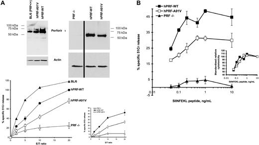 Figure 2. Complementation of the PRF-KO phenotype of primary mouse CTLs. Primary mouse CTLs were generated, activated, transfected to express hPRF-WT or hPRF-A91V perforin, sorted, and tested in cytotoxicity assay against SIINFEKL-pulsed EL-4 target cells as described in “Materials and methods.” (A) Data in the larger graph represent the mean ± SE of 4 to 6 independent experiments, and 2 typical Western immunoblots are shown. Each independent experiment was standardized with respect to the level of 51Cr release induced by hPRF-WT-transfected cells in 20:1 E/T ratio (100%). Activated CTLs from BL/6 mice were used as control. The smaller graph shows the outcome of one typical experiment (mean ± SD of triplicate data points; raw data are shown). The effect of antigen presentation was tested by treating 51Cr-labeled EL-4 target cells with various concentrations of SIINFEKL peptide. The effector cells were used in 15:1 E/T ratio. (B) Data from a representative experiment are shown as mean ± SD. Inset shows standardized data from a large graph, where the level of specific 51Cr release from EL-4 targets treated with 10 ng/mL peptide was regarded as 100%.