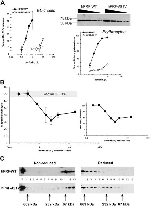 Figure 3. Cytolytic activity of purified recombinant perforin. (A) Human wild-type and A91V mutant perforins were purified using a baculovirus system; their respective concentrations were equilibrated using Western blots and the cytolytic activity tested using SRBC lysis assay or 51Cr release from EL-4 cells (mean ± SD). (B) Purified recombinant hPRF-A91V and hPRF-WT proteins were mixed at 0:1, 0.2:1, 0.4:1, 0.8:1, 1.6:1, 2.4:1, 4:1, and 12:1 ratios and then added to SRBCs. The large graph shows nonstandardised (raw) levels of SRBC lysis in which 69% ± 4% lysis corresponds to the addition of hPRF-WT alone to the cells. The data are shown as mean ± SE of 3 to 4 independent experiments and performed with 2 independent batches of perforin. The small graph depicts standardized values shown on the large graph, where “control” was designated as 100%. (C) Purified recombinant WT and A91V perforins were subjected to the gel filtration, and the elution profile was analyzed using Western blots (see “Western blotting” in “Materials and methods” for details).