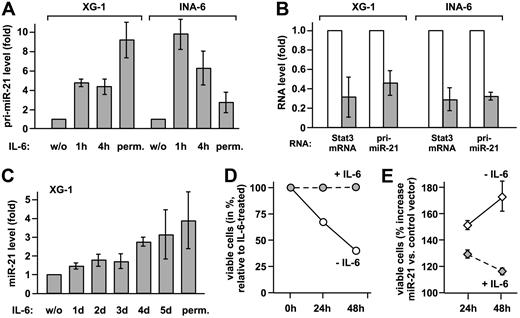 Figure 2. miR-21 is induced by IL-6 via Stat3 activation and promotes survival of myeloma cells. (A) XG-1 and INA-6 cells were either restimulated with IL-6 for the times indicated after cytokine withdrawal for 72 and 12 hours, respectively, or continuously cultured with IL-6 (perm.). Levels of pri-miR-21 were determined by real-time PCR. Values obtained for cells deprived of IL-6 were set to 1. (B) XG-1 and INA-6 cells cultured in the presence of IL-6 were transiently transfected with an expression plasmid for a small hairpin RNA-silencing Stat3 (▩) or a scrambled sequence RNA (□) together with a vector-encoding enhanced GFP. Successful down-regulation of Stat3 protein levels under these conditions has been demonstrated by us previously.9 After 48 hours, green fluorescent cells were sorted, and Stat3 and pri-miR-21 transcript levels were determined by real-time PCR. Values for the control samples were taken as reference. (C) In XG-1 cells treated as were INA-6 cells, mature miR-21 was quantified by stem-loop reverse transcription followed by real-time PCR.10 (D,E) INA-6 cells were transiently transfected by electroporation with a control (D) or a miR-21 expression vector (E). An expression plasmid encoding enhanced GFP was cotransfected. At 1 day after transfection, cell culture was continued either in the presence or absence of IL-6. After an additional 24 or 48 hours, apoptosis was studied by flow cytometric annexin-V assay, with the transfected cells gated on the basis of green fluorescence. In panel D, the reduced levels of viable (annexin-V−) cells after cytokine withdrawal are represented relative to those observed in IL-6–treated cells. Panel E shows the relative percentage of viable cells with miR-21 expression vector relative to control vector transfection. Data represent mean values plus or minus SD from 3 independent experiments.