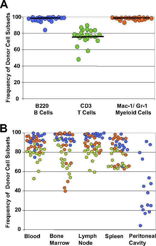 Figure 1. Frequencies of donor cell subsets in the peripheral blood and hematopoietic tissues after transplantation. New Zealand black × New Zealand white mice were conditioned with lethal irradiation and transplanted with purified allogeneic hematopoietic stem cells. (A) Donor cell frequencies of the B-cell, T-cell, and myeloid compartments of the peripheral blood at 32 weeks after transplantation are shown. The frequency of donor T cells in the total T-cell pool was lower than donor contribution to the B-cell and myeloid compartments (P < .001). Circles indicate individual mice. Horizontal lines represent mean of each group. (B) Frequencies of donor cell subsets in hematopoietic tissues of mice that received purified allogeneic hematopoietic stem cells. Tissues of recipient mice were analyzed by flow cytometry when moribund or at the conclusion of the study. Donor T-cell (green) frequency was lower than B-cell (blue) and myeloid (red) frequencies in the blood, bone marrow, lymph nodes, and spleen. Donor B-cell contribution was significantly lower in the peritoneal cavity than in the other tissues (P ≤ .001). The peritoneal cavity was analyzed for B cells only. Data were combined from 3 experiments.