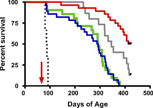 Figure 2. Survival of New Zealand black × New Zealand white mice after transplantation. New Zealand black × New Zealand white mice were lethally irradiated and received either allogeneic hematopoietic stem cells, syngeneic hematopoietic stem cells, or syngeneic whole bone marrow. Mice were either 73 or 79 days of age at the time of transplantation (arrow is approximate). A subset of mice was reserved as unmanipulated age-matched controls. Survival was monitored for approximately 350 days after transplantation (420 days of age). Mice that received purified allogeneic hematopoietic stem cells (red) had significantly improved overall survival compared with the age matched control mice (gray) (P = .024) or the mice receiving syngeneic whole bone marrow (green) or hematopoietic stem cells (blue) (P ≤ .001). Radiation control mice are represented by the black dotted line. Survival curves illustrate the age of mice at death. Data were combined from 3 experiments.