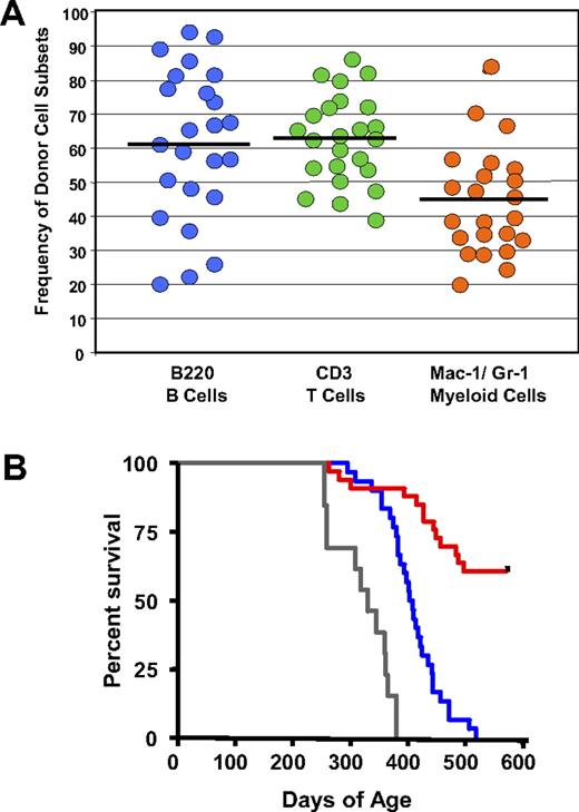 Figure 5. Donor cell frequencies and survival after nonmyeloablative transplantation. (A) Eight-month-old New Zealand black × New Zealand white mice were conditioned by sublethal irradiation and administration of antithymocyte serum and antiasialo GM-1. Approximately 50% of the mice received allogeneic hematopoietic stem cell transplants. Donor-cell frequencies of the B- and T-lymphocyte and myeloid compartments in the peripheral blood at 32 weeks is shown. Circles indicate individual mice. Horizontal lines represent the mean of each group. (B) Survival of New Zealand black × New Zealand white mice after receiving a transplant or after the conditioning regimen only. Mice were treated at 227 or 255 days of age. A subset of mice was reserved as unmanipulated age-matched controls. The mice receiving conditioning only (blue) had a survival advantage over the age-matched control mice (gray) (P < .001). The mice that received allogeneic hematopoietic stem cells (red) had far better overall survival than the other 2 groups (P < .001). Survival curves illustrate the age of mice at death. Data were combined from 2 experiments.